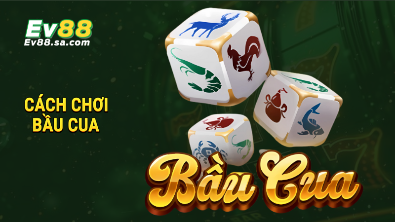 Cách chơi Bầu Cua