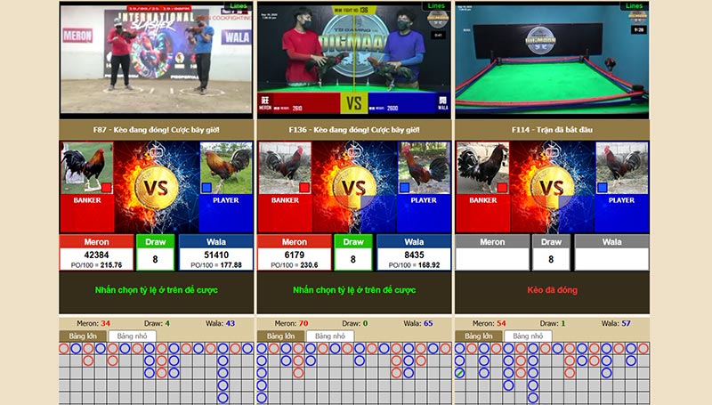 Giao diện Đá gà EV88 với nhiều màn hình theo dõi cùng lúc